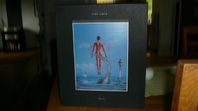 Pink Floyd Cd Box Shine On