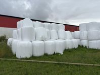 Hösilage
