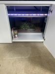 220 liters med corydoras