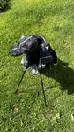 Golf klubbor med bag