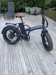Rawbike 4X Ski Team Edition