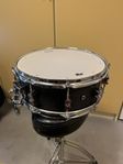 PDP 14" x 5.5" Virveltrumma