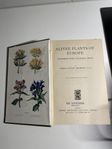 Alpine Plants of Europe - H.S. Thompson