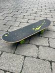Skateboard för nybörjaren