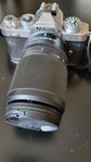 Nikon Z fc