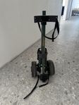 Golfvagn, turfrider