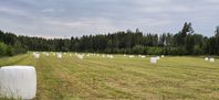 Hösilage förstaskörd