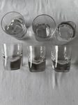 6 st whiskeyglas
