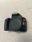 Canon EOS 250D