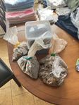 Chaga 1,7kg