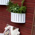 Blomlådor Funky