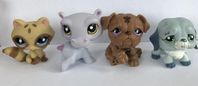 Littlest Pet shop