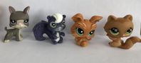 Littlest Pet shop