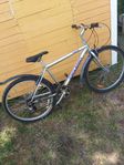 cykel 