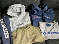 Sail Racing, Champion, Adidas