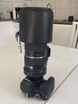 Canon Eos 800D & Tamron 150-600MM Canon EF fit G1