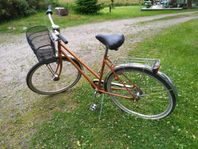 DBS damcykel classic