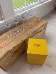 Iittala Essence champagneglas, helt nya!