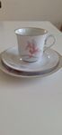 Hackefors kaffeservis