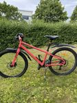 Mountainbike 26”