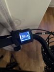 elcykel ecoride