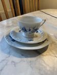 Rosenthal Classic Rose 12 st kaffekoppar 