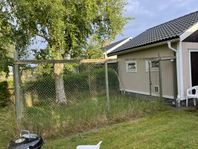 hundgård 