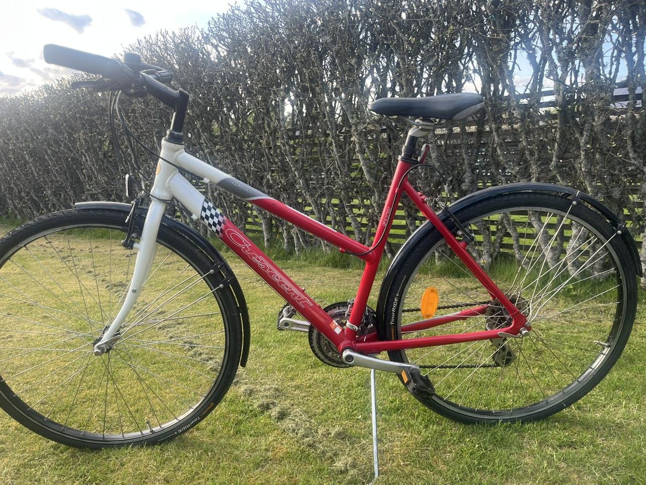 Crescent 28”
