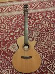 Cort CEC-5 med fishman miksystem