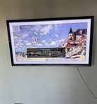 Lg 4k tv oled 2019 65 tum