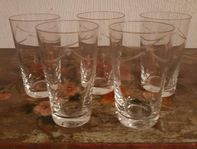 Selterglas 5 st, 40-tal