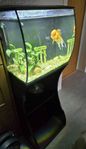 Akvarium Fluval Flex Led 57l 