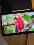Samsung tab s10 + med garanti