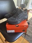 Nike air zoom Pegasus 41 GTX