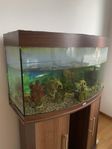 Fiskakvarium