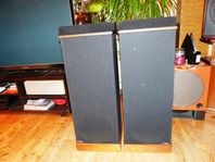 Design Acoustics D-2 Högtalare  fina hela och fungerande