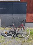 Crescent damcykel