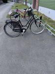Damcykel velocity 