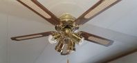 Fläkt lampa