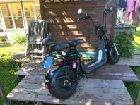 Fatbike Lyfco 