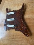 Klein pickups Epic 62’ Stratamikar