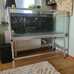 akvarium 300 liter + mindre akvarium på köpet
