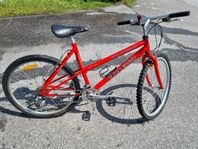 Mountainbike 