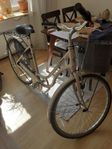 trek damcykel