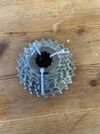 CAMPAGNOLO Athena 12–25 11 speed Casette