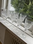 Vin o champagne glas