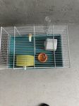Hamster bur