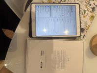 iPad 8 generation