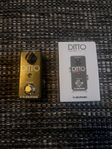 TC Electronic Ditto Looper
