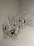 Vin & Öl glas (Droppe) Orrefors glas